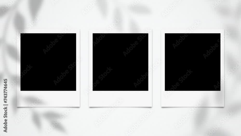 Instant Photo Frames On Alpha Instant Photo Frames On Alpha