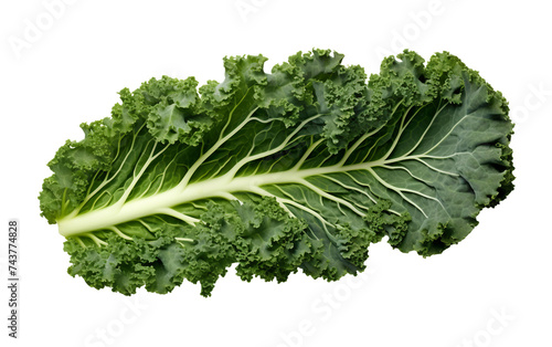 Kale Standing Out Isolated on Transparent Background PNG.