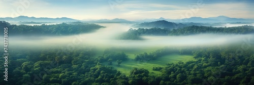 Misty rainforest bird eye view landscape with meadows. Rainforest banner