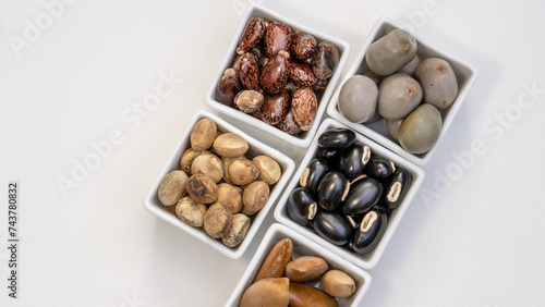 Ayurvedic Medicinal Seeds Collection: Gray Nicker, Velvet Bean, Madhuca Longifolia, Castor Oil Seeds photo