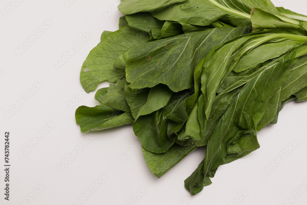 photo of mustard greens isolated on white background