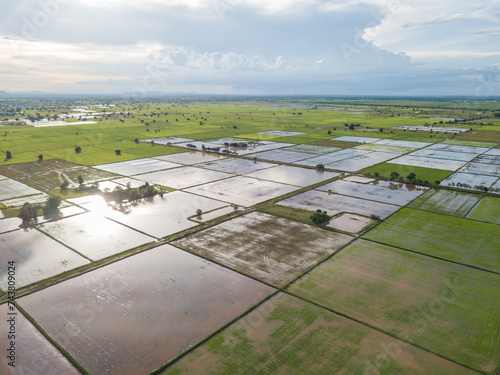 High angle view of agricultural farms, mainly rice or paddy productions, in Asian region.