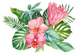 Tropical palm leaves and flowers, monstera, protea and hibiscus. Green leaves painted hand-made watercolor, botanical