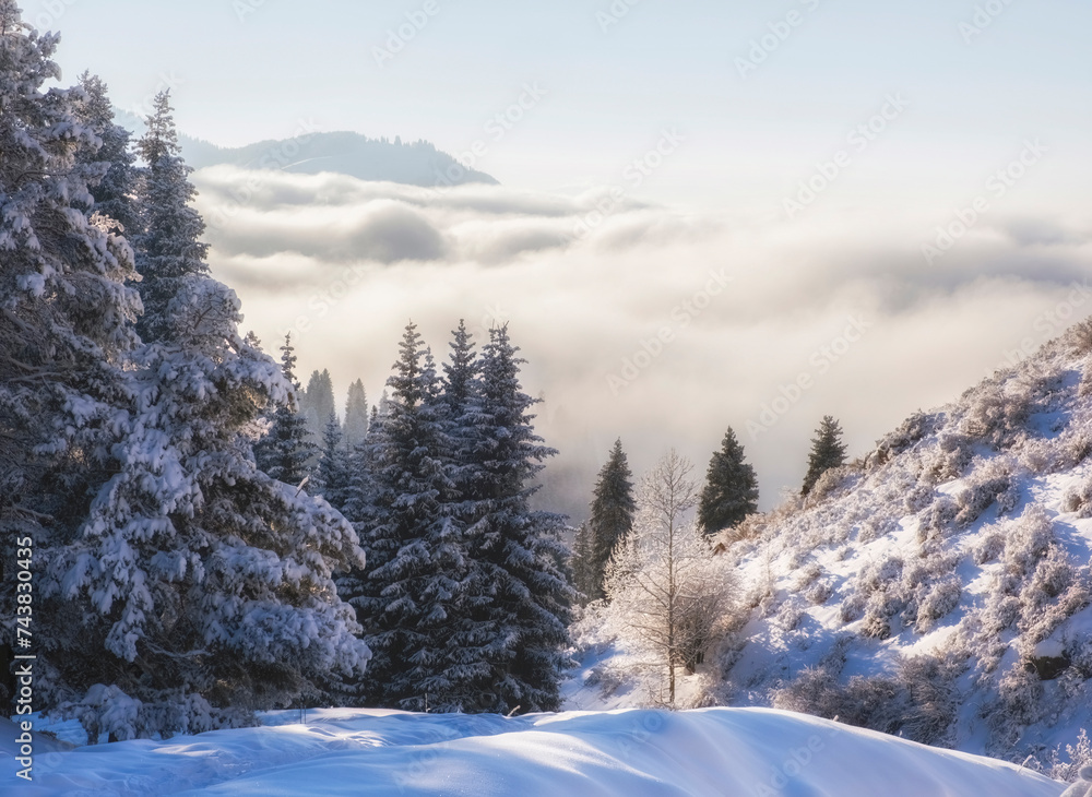 Winter mountain landscape with forest, fresh snow and fog