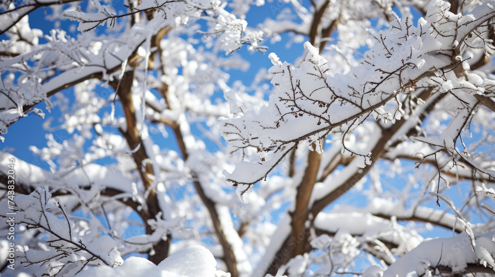 Picturesque snow covered tree with clear blue sky in background
