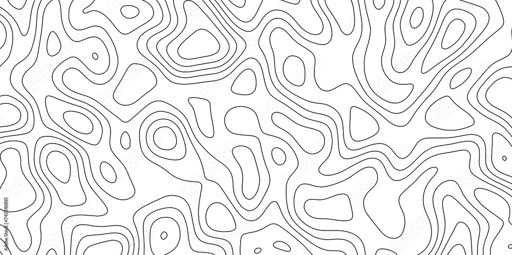  abstract white wave paper curved reliefs background. Topography map pattern, Geographic curved, vector illustration. seamless textrue, vintage waves. Panorama view multicolor wave curve line. - obrazy, fototapety, plakaty 