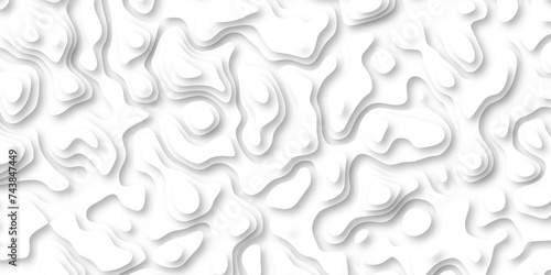 3d render, abstract white paper background. Paper cut vector art background banner texture. multi layer cutout geometric pattern on vector, Abstract soft white background with waves.
