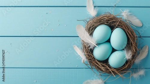 Easter eggs and feathers in a nest on blue background, Banner with copy space.  photo