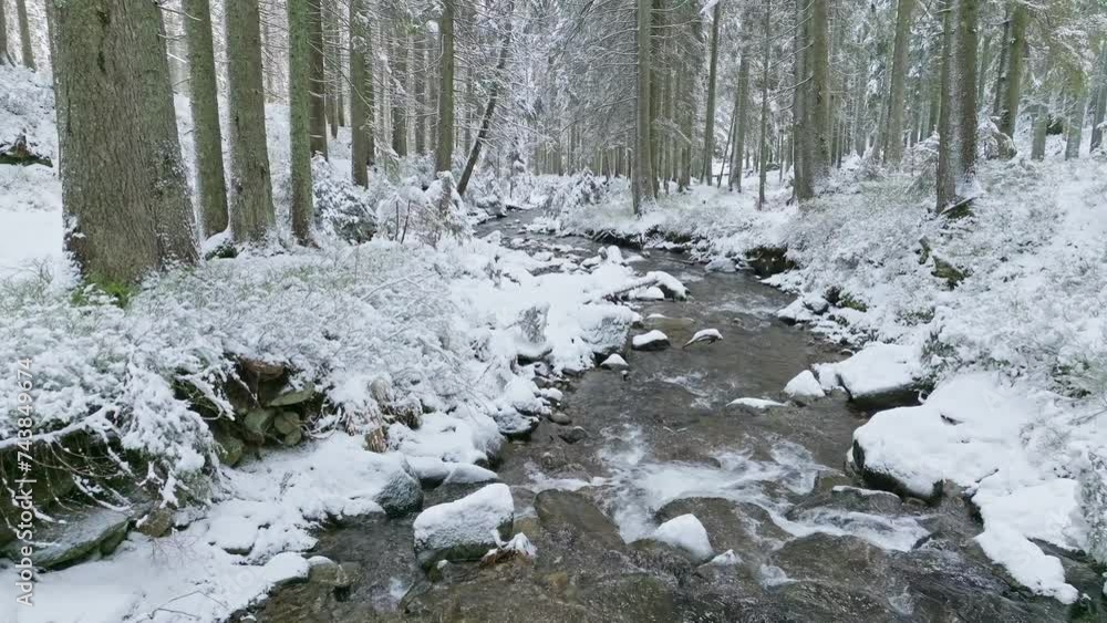 River winter forest nature tree ice outdoor season weather snow River winter forest nature tree ice outdoor season weather snow