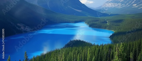 The azure blue waters of Peyto Lake, Canada, nestled like a sapphire gem amidst the rugged wilderness of Banff National Park