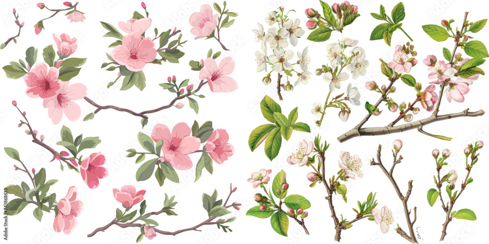 Collection of beautiful watercolor spring blossom branches, perfect for seasonal designs and floral themes.