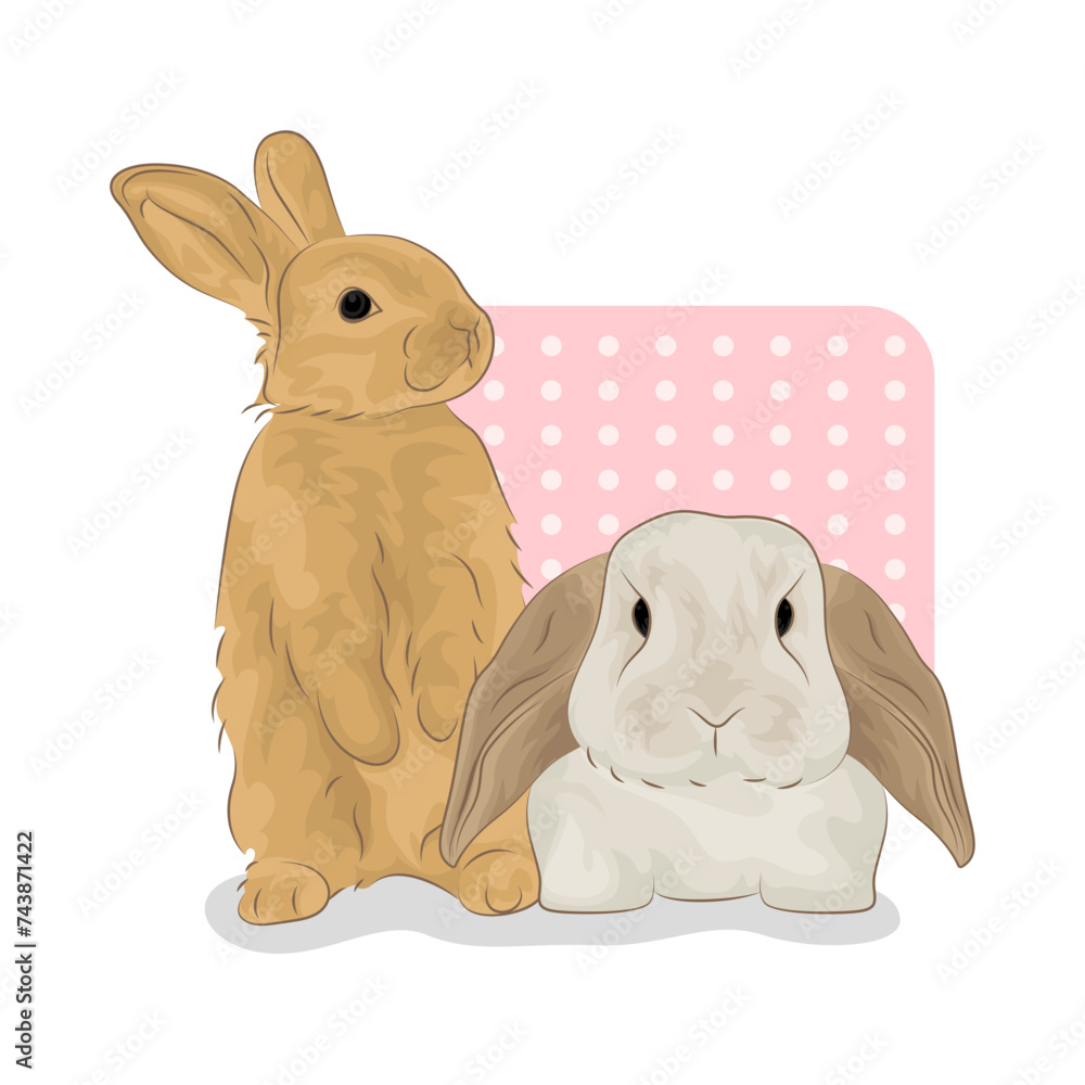 Illustration of cute bunny couple Illustration of cute bunny couple