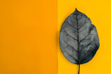 a leaf on yellow background with black shade in the s