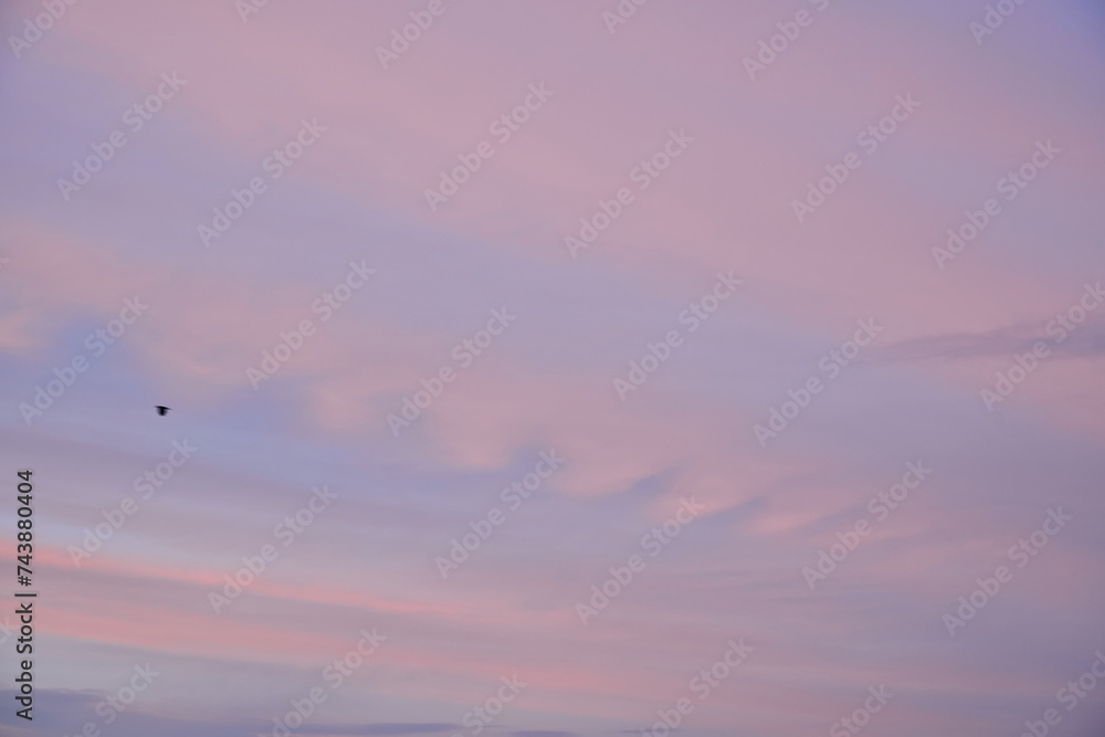 Obraz premium Cloudscape of cumulus sunset clouds