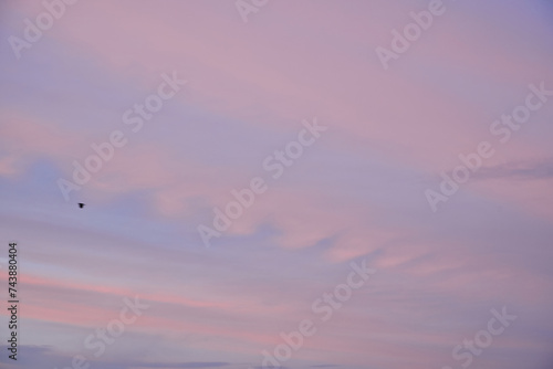 Cloudscape of cumulus sunset clouds