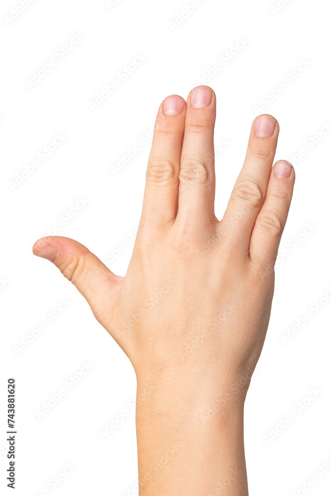 Male hand isolated on a white background. child palm close up Male hand isolated on a white background. child palm close up