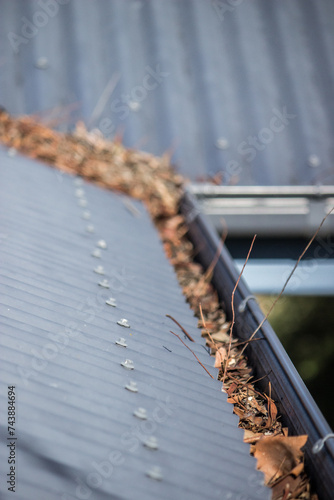 Gutters on a tin roof full of leaves and sticks