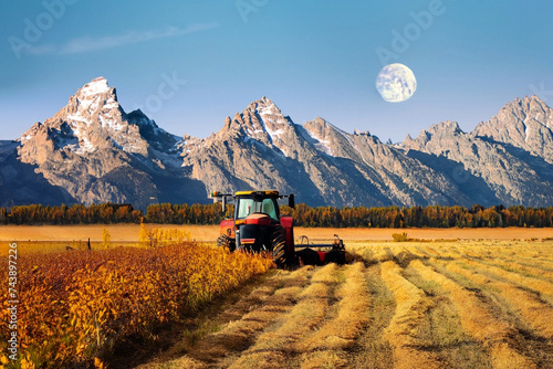 Tractor in a wheat field in front of the mountains and near full moon on a perfect early september morning