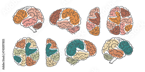 Hand drawn human brain vector collection, mental heath clip art, brain line art, brain vector