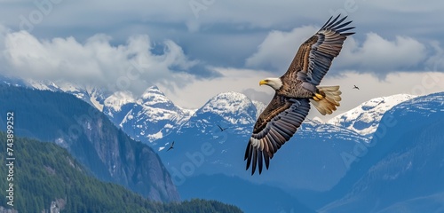 A majestic eagle soars high above rugged mountain peaks  its keen eyes scanning the vast wilderness below.