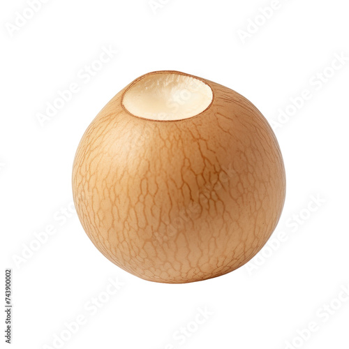 A macadamia nut isolated on transparent background