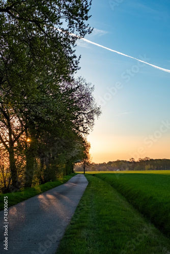 This image captures the tranquil beauty of early morning on a country lane. The rising sun casts a soft golden glow on the path, bordered by verdant fields and silhouetted trees. A clear blue sky