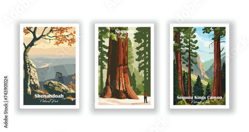 Sequoia Kings Canyon. Sequoia. Shenandoah, National Park - Vintage travel poster. Vector illustration. High quality prints photo