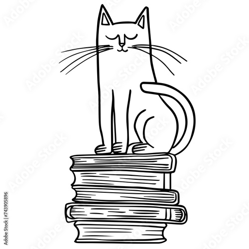 Cat with books vector transparent background PNG clipart