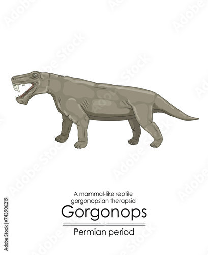 orgonops, a distant relative of mammals with sharp teeth and a unique appearance, a prehistoric gorgonopsian therapsid. Colorful illustration on a white background photo