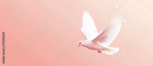 A minimalist design featuring a white dove against a soft background