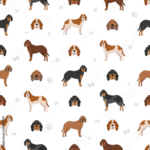Majestic tree hound seamless pattern. All coat colors set.  All dog breeds characteristics infographic
