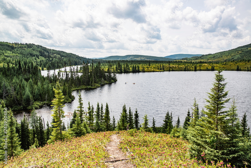 St-Urbain, Canada - July 17 2023: Panorama arial view in Grands Jardins National Park in Quebec St-Urbain, Canada - July 17 2023: Panorama arial view in Grands Jardins National Park in Quebec