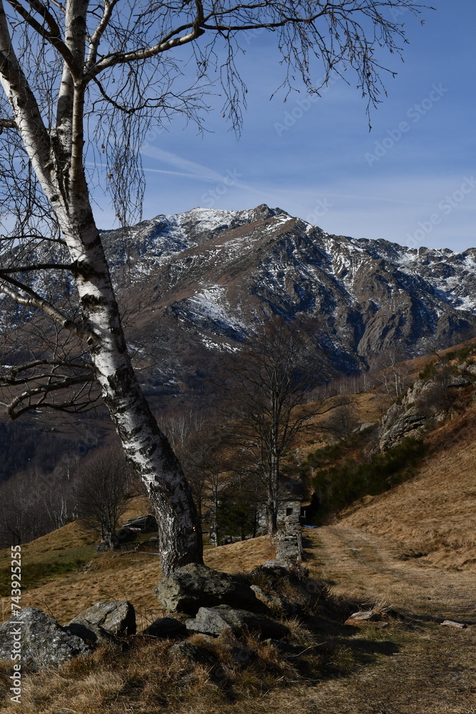 Mombarone, border peak between Piedmont and Valle d'Aosta, seen from the slopes of Mount Mucrone. Mombarone, border peak between Piedmont and Valle d'Aosta, seen from the slopes of Mount Mucrone.