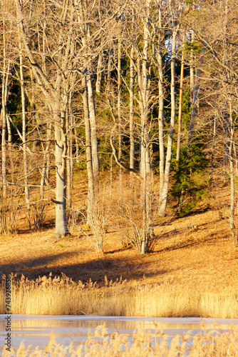 Fotografie View of Bjorn nature reserve in Stockholm archipelago