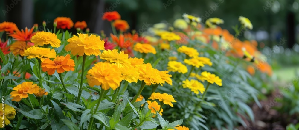 A bunch of yellow and orange flowers with leaves scattered across the grass in a park.