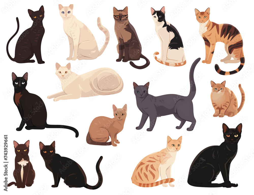Vector illustration set of various cats on white background.