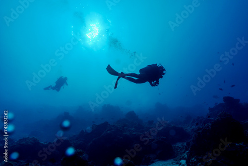 Silhouette of scuba divers underwater. Diving concept. Beautiful underwater world. Underwater photography.