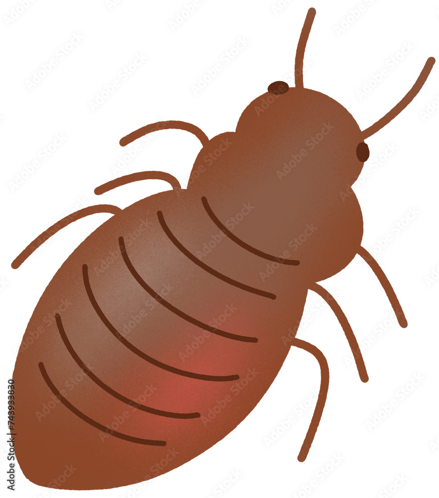 Obraz premium 베드버그