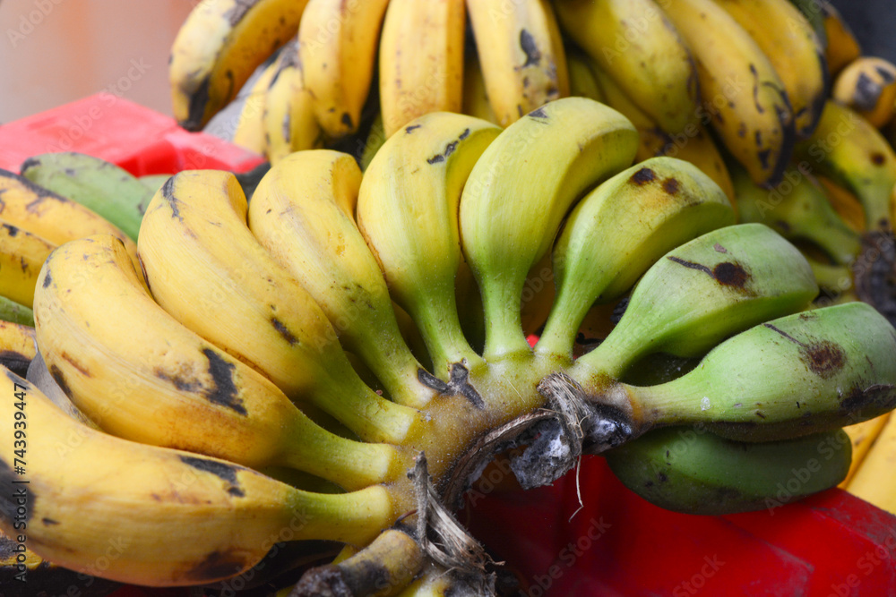 Bunch of bananas isolated on white background with clipping path and full depth of field. Bunch of bananas isolated on white background with clipping path and full depth of field.