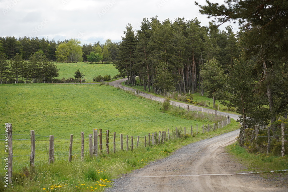 petit chemin tortueux