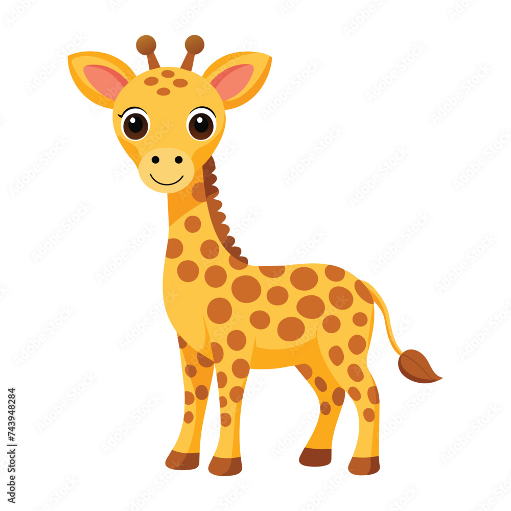 Vector of illustration Cartoon cute Giraffe on white Vector of illustration Cartoon cute Giraffe on white