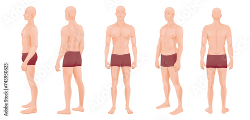 Anatomical body full length of a man, front, side, 3-4 and back view, vector illustration. Body isolated on white