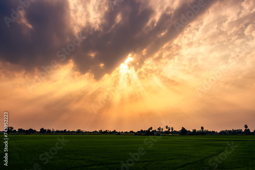 Dramatic golden sunset sky with sunbeam over rice field