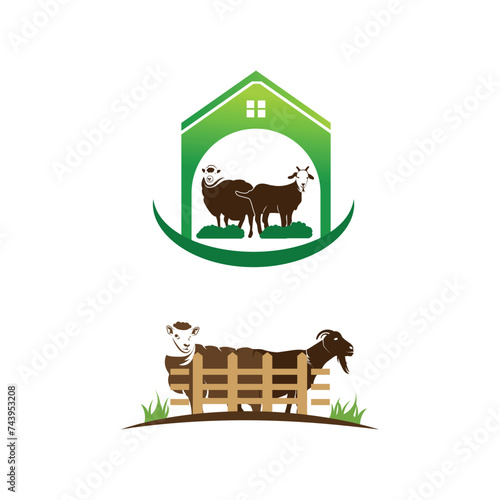 sheep and goat farming logo design