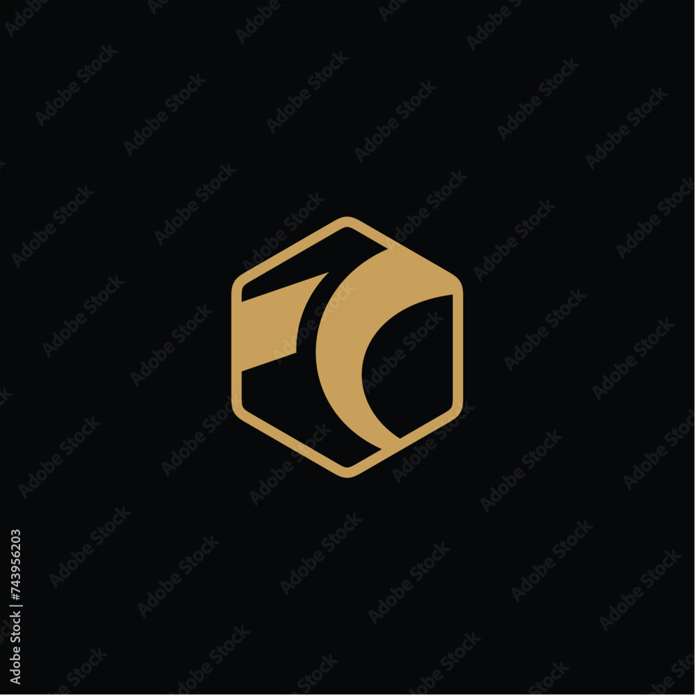 letter T hexagon technology logo Designs Inspiration Isolated on White Background letter T hexagon technology logo Designs Inspiration Isolated on White Background