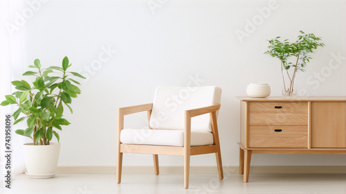 Minimalist living room interior with a wooden chair and plants