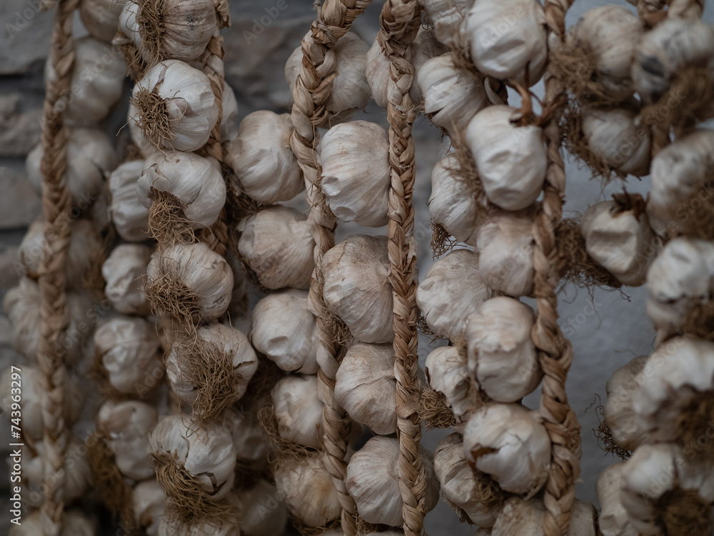 dried garlic on ropes against the wall.