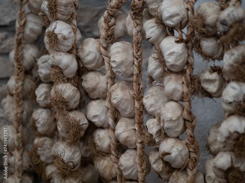 dried garlic on ropes against the wall. © wlad074
