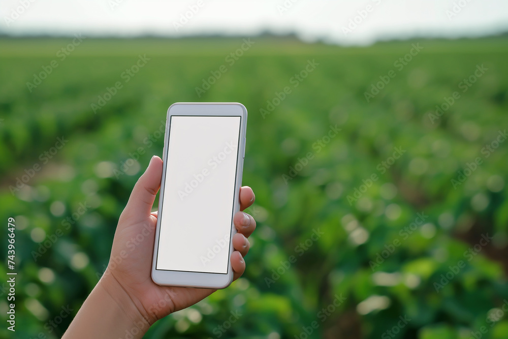 Woman hand using Smartphone in Agriculture farm. Oranic farming technology platform Woman hand using Smartphone in Agriculture farm. Oranic farming technology platform