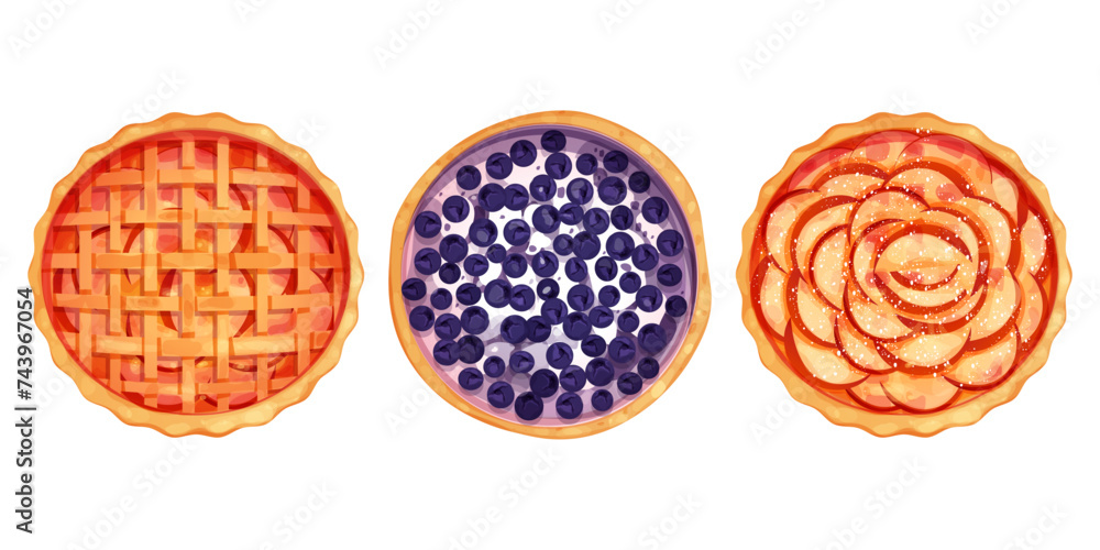 Fototapeta premium Homemde pie, tart top view whole round bakery, dessert isolated on white background.